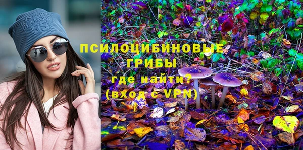 дмт Аркадак