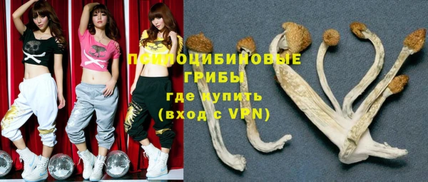 дмт Аркадак